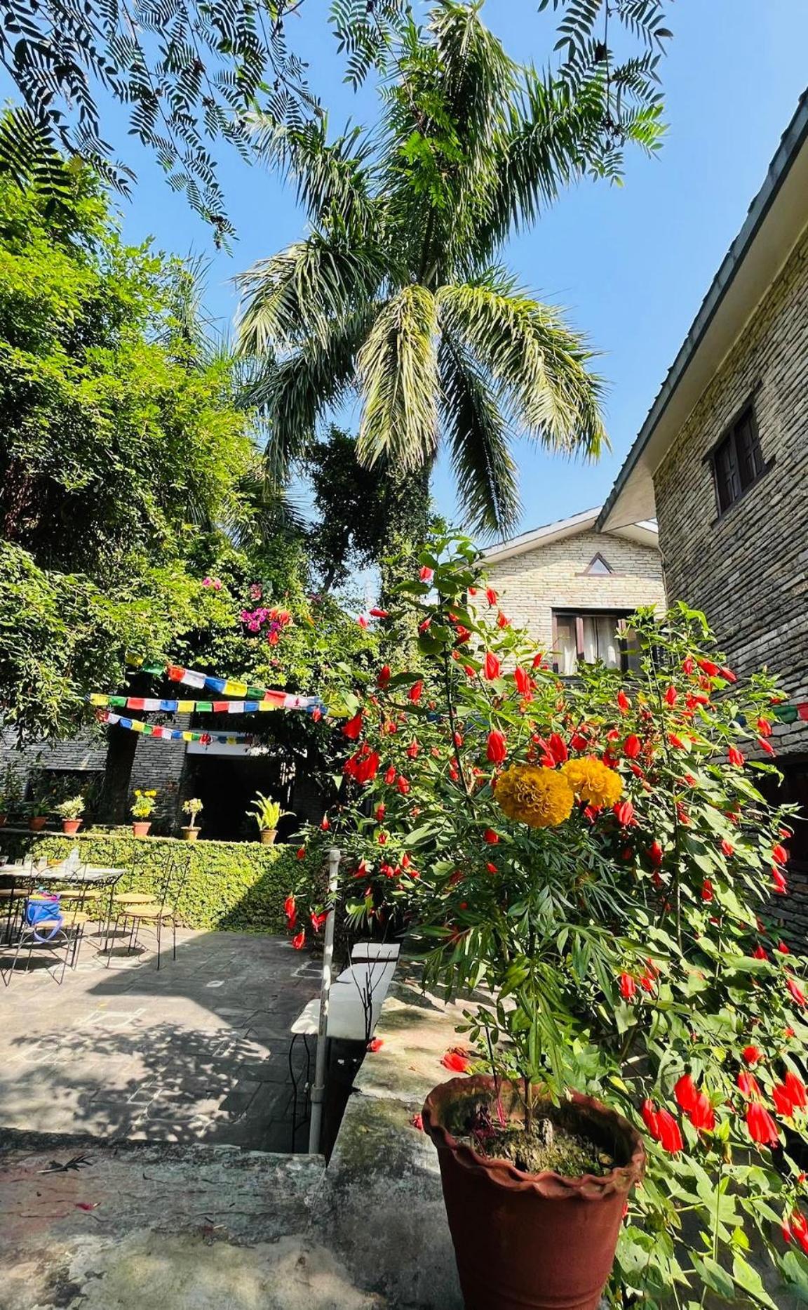 妈妈的花园度假酒店 博卡拉 外观 照片